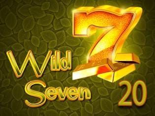 Wild Seven 20 thumbnail