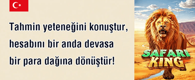 Çevrimsiz Bonus ⚡ promotion