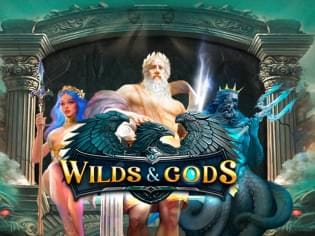 Wilds & Gods thumbnail